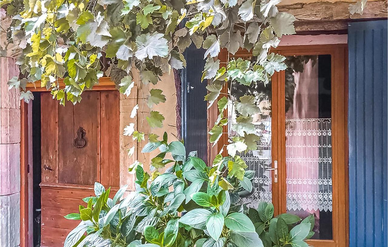 Gorgeous Apartment In Villes Sur Auzon With Wifi Εξωτερικό φωτογραφία